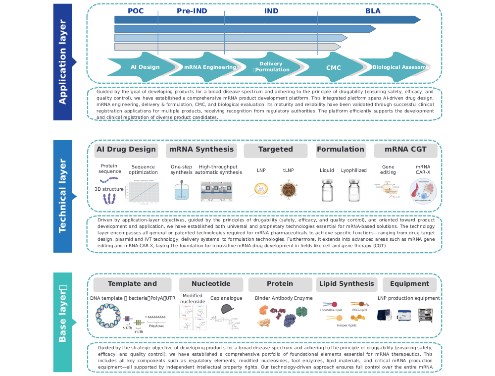 mRNA技术平台英文版-20260316.png