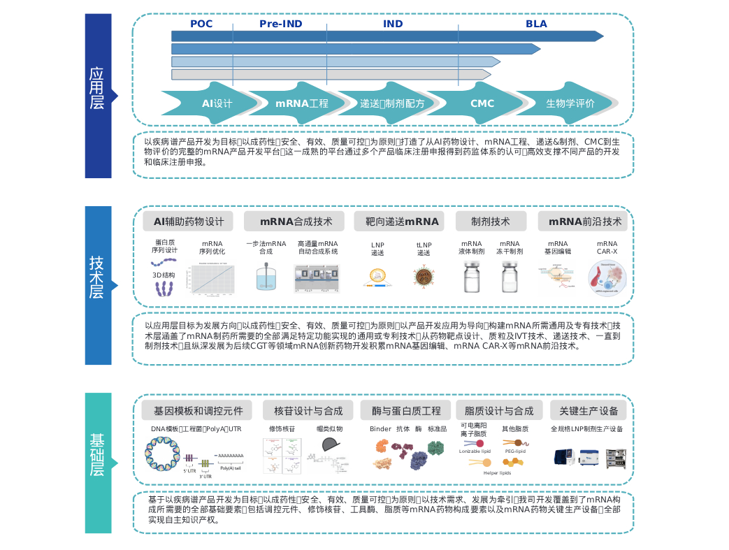 20260320811951.jpg mRNA技术平台.jpg